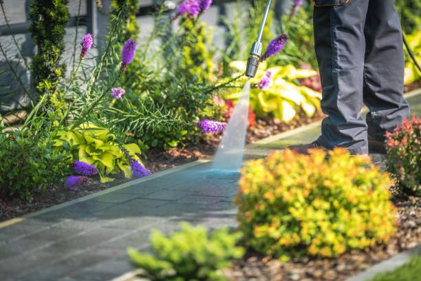Best Gas Station Cleaning  in Eclectic, AL